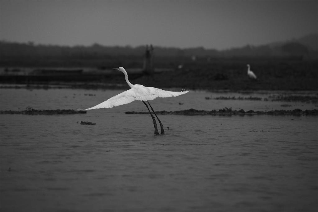 Swaraj Resorts Bharatpur Exteriör bild